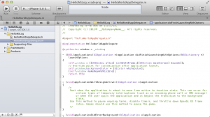 HelloWorldAppDelegate
